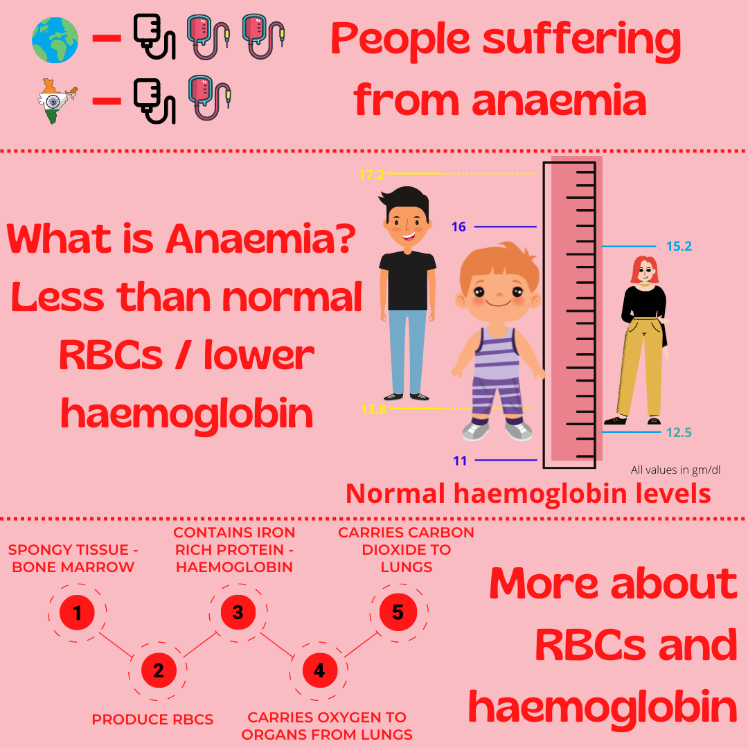 Causes, symptoms and treatment for ANAEMIA