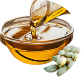 Mahua oil and Kendal to ease the pain of rheumatism